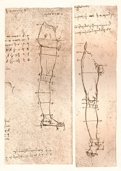 Két rajz, amely az emberi alak arányainak elméletét illusztrálja, c1472-c1519 1883 alkotó: Leonardo da Vinci