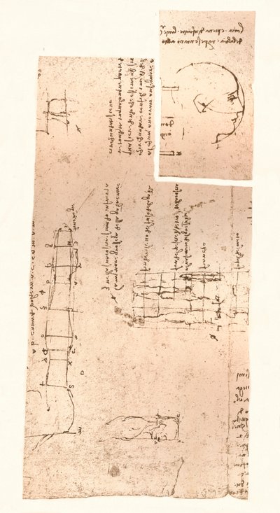 Két rajz, amely az emberi alak arányainak elméletét illusztrálja, c1472-c1519 1883 alkotó: Leonardo da Vinci