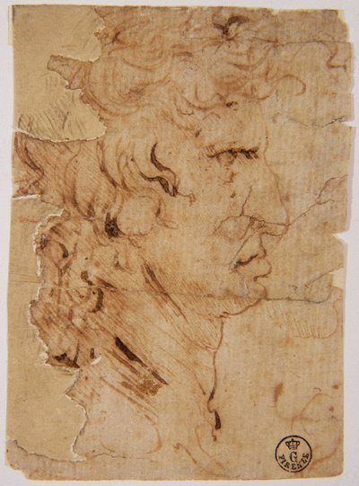 Ismeretlen kép alkotó: Leonardo da Vinci