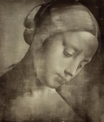 Női fej. 1470-1519 alkotó: Leonardo da Vinci