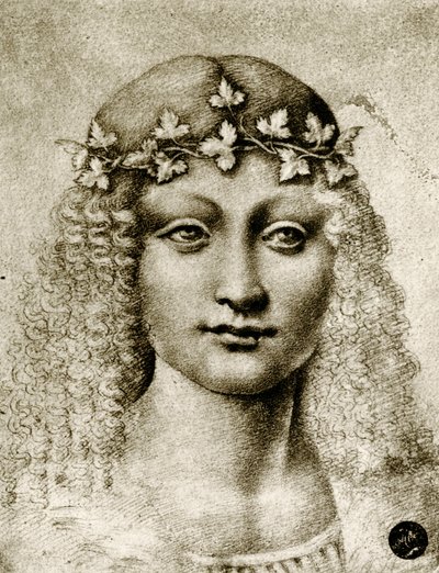 Egy lány feje szőlővel megkoszorúzva alkotó: Leonardo da school of Vinci