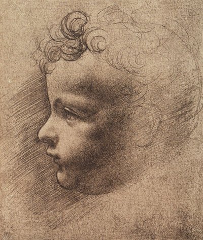 Egy kisfiú feje; Leonardo da Vinci rajza. Louvre, Párizs alkotó: Leonardo da school of Vinci