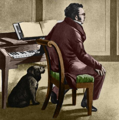 Franz Schubert osztrák zeneszerző portréja alkotó: Leopold Kupelwieser
