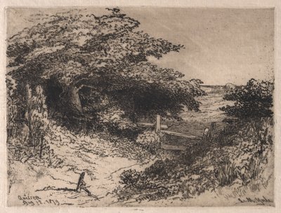 Quissett, Barnstable megye, Massachusetts, 1879. alkotó: Leroy Milton Yale