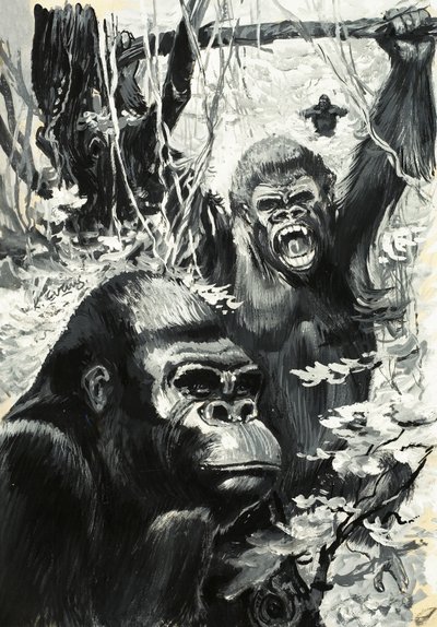 Gorillák alkotó: Leslie Field Evans