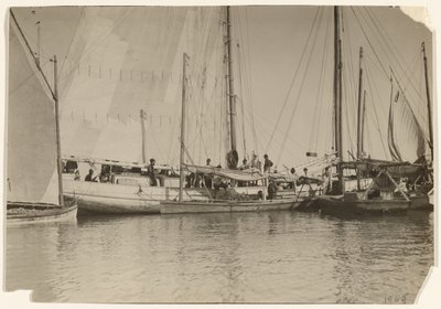 [Osztrigás csónakok, Mobile Bay, Alabama] alkotó: Lewis W. Hine