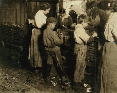 A 10 éves Jimmie, aki már 3 éve hántol (6 fazék naponta) egy 11 éves fiúval, aki 7 fazekat hántol a Varn und Platt konzervgyárban, Bluffton, Dél-Karolina, 1913. alkotó: Lewis Wickes Hine
