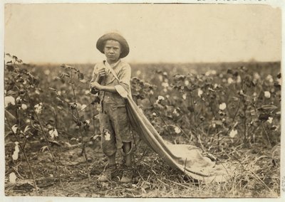 A 6 éves Warren Frakes kb. 20 font gyapottal a zsákjában Comanche megyében, Oklahoma, 1916 alkotó: Lewis Wickes Hine