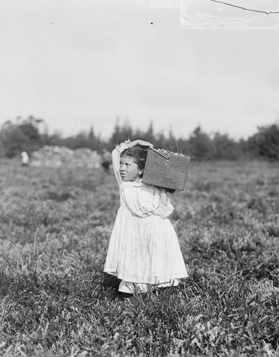 A nyolcéves Jennie Camillo Philadelphiából áfonyát szed a Theodore Budd