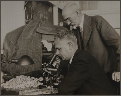  alkotó: Lewis Wickes Hine