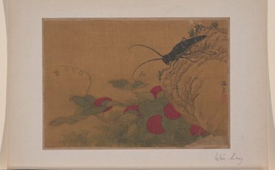 Szöcske a sziklán alkotó: Liang Wen