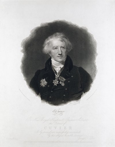 Georges Cuvier francia anatómus alkotó: Unbekannt Unbekannt