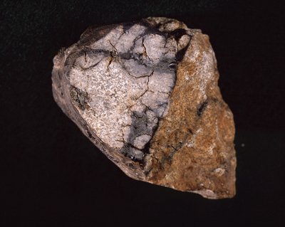 Meteoritot találtak Indiában 1875-ben – Museum d