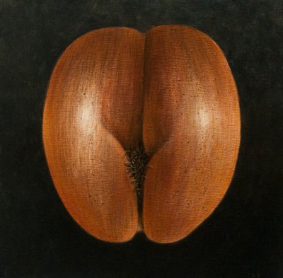 Coco de Mer, 2010 (akril, vászon) alkotó: Lincoln Seligman