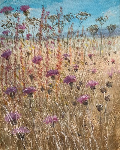 Sötét Scabious alkotó: Lincoln Seligman