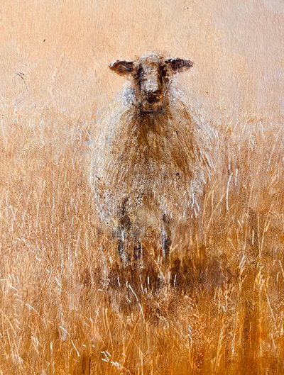Kedvenc Ewe alkotó: Lincoln Seligman