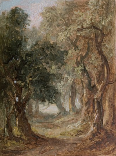 Grove [kelletlen]. alkotó: Lines Family
