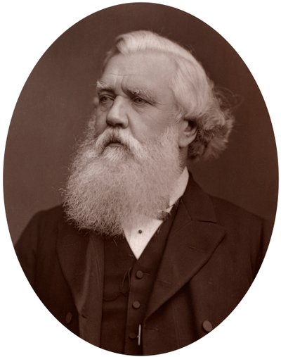 Jobb Hon Austen Henry Layard DCL, brit konstantinápolyi nagykövet, 1877. alkotó: Lock and Whitfield