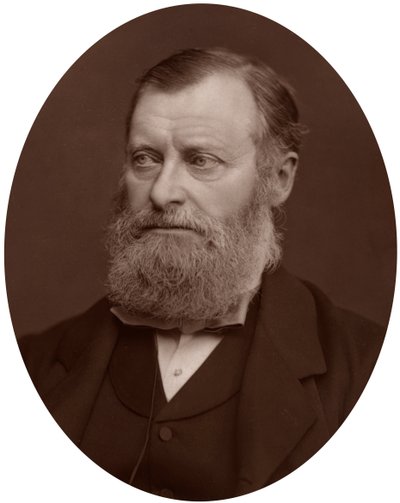 William Edward Forster képviselő, 1878. alkotó: Lock and Whitfield