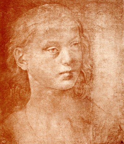 Lányok feje alkotó: Lorenzo di Credi