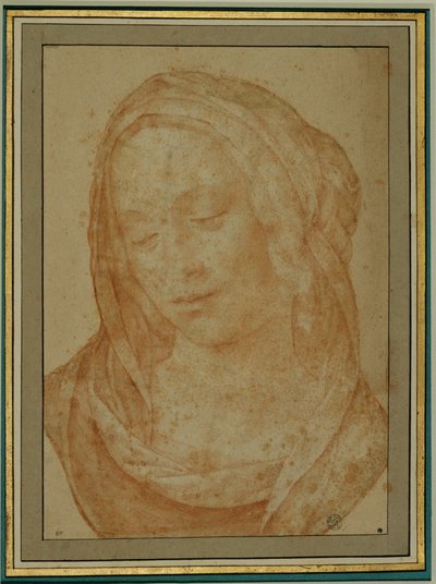 Fátyolos nő portréja ... alkotó: Lorenzo di Credi