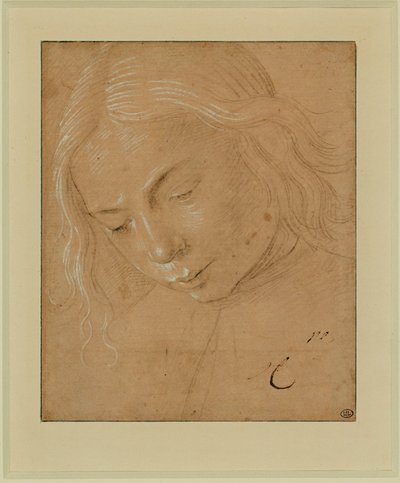 Fiatal férfi portréja, háromnegyedes profil, előre hajolva ... alkotó: Lorenzo di Credi
