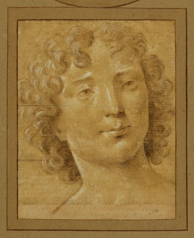Tanulmány egy hosszú, göndör hajú férfiról ... alkotó: Lorenzo di Credi