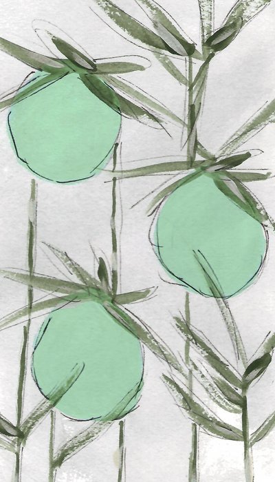  alkotó: Lori Ann Folz