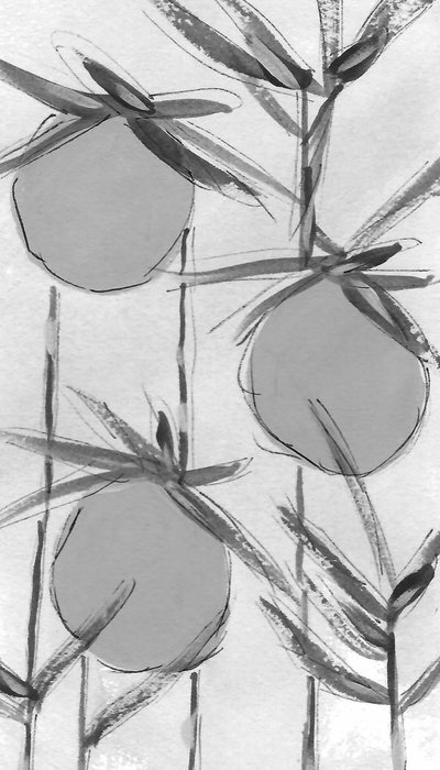 Organic Ink Botanicals alkotó: Lori Ann Folz