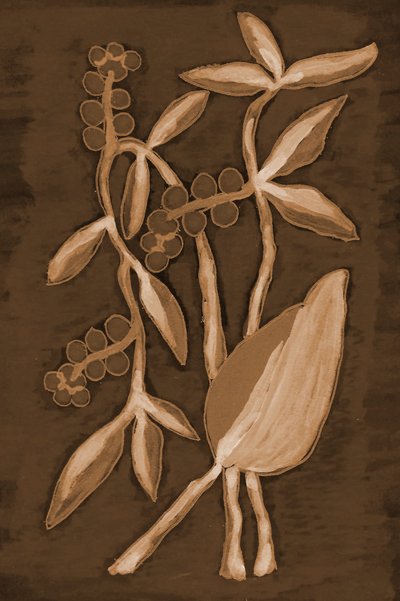 Organic Sepia Botanicals alkotó: Lori Ann Folz