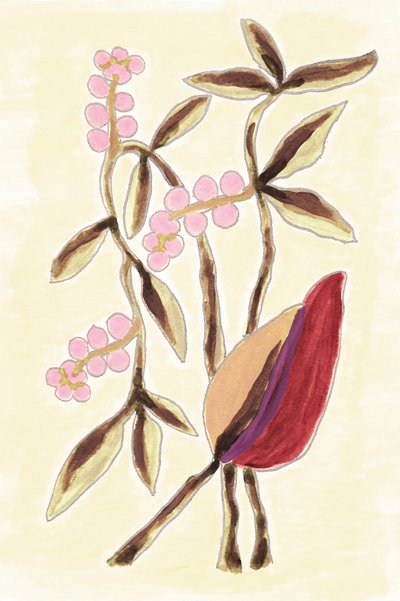 Pink Berry Botanicals alkotó: Lori Ann Folz