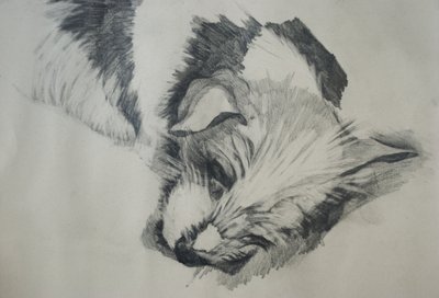 Jack Russel, 2015, alkotó: Lou Gibbs