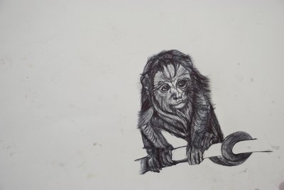 Monkey Business, 2016, (bic biro papíron) alkotó: Lou Gibbs