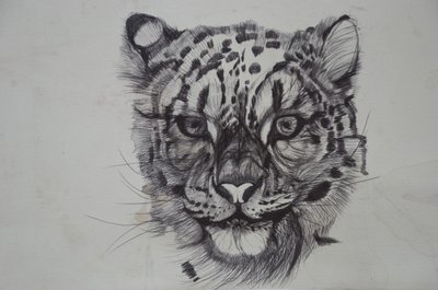 Snow Leopard, 2016, (bicó papíron) alkotó: Lou Gibbs