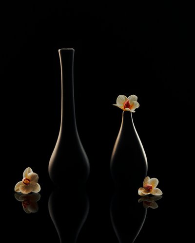 Elegáns orchidea-tükröződések alkotó: Louie Luo