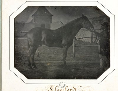 Cleveland, c. 1842-1843. alkotó: Louis Auguste Bisson
