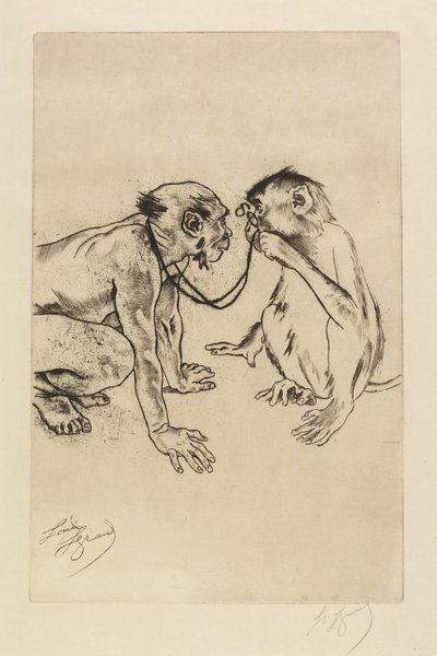 Összehasonlító anatómia alkotó: Louis Auguste Mathieu Legrand
