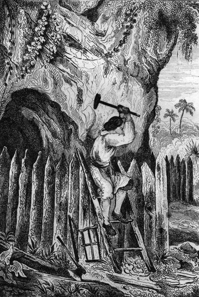 Tíz sor palántát ültettem. metszet M. de Sainson rajza nyomán Daniel Defoe könyvéhez (De foe) „Robinson Crusoe”” 1837-es francia kiadás. alkotó: Louis Auguste de Sainson
