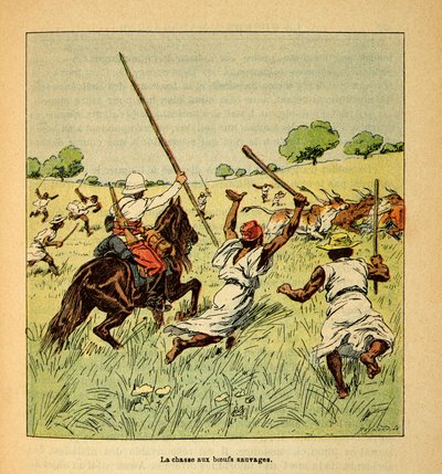 A madagaszkári háború – Az 1885-1895-ös francia expedíciók anekdotikus története, Henri Galli dit Galllichet (1854-1922), illusztrálta Louis Bombled (1862-1927): Vadökrök vadászata Madagaszkáron 1895-ben, Magángyűjtemény alkotó: Louis Charles Bombled