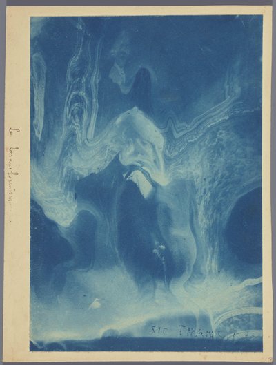 Le transformisme / Sic tranzit (cím az objektumon) alkotó: Louis Ducos du Hauron (attributed to)