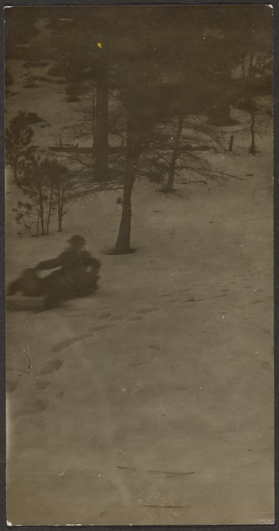 [Boy Sledding Down Hill] alkotó: Louis Fleckenstein