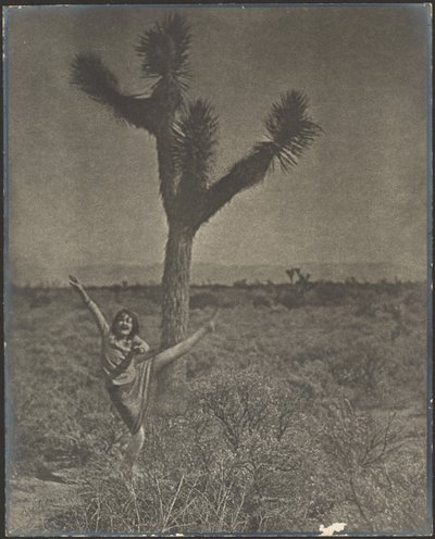 [Táncos a Joshua Tree-nél] alkotó: Louis Fleckenstein