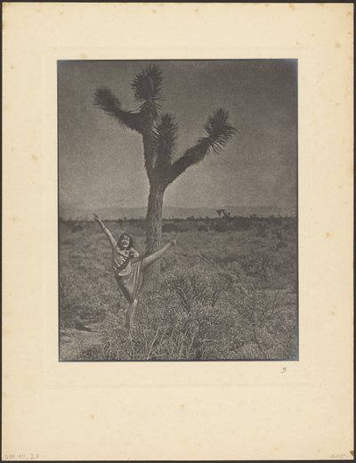 [Táncos a Joshua Tree-nél] alkotó: Louis Fleckenstein