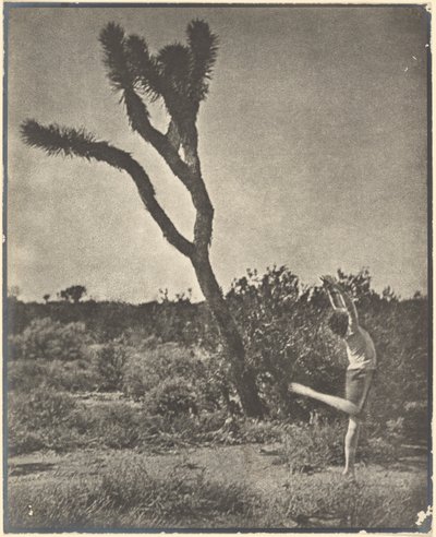 [Táncos a Joshua Tree-nél] alkotó: Louis Fleckenstein