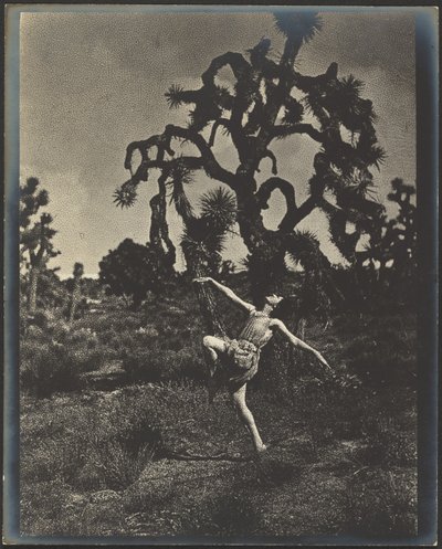 A tánc ihlete alkotó: Louis Fleckenstein