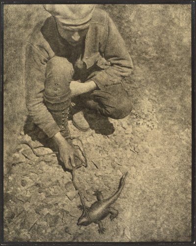 [A gyíkos férfi] alkotó: Louis Fleckenstein