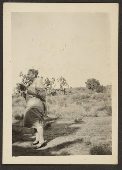 [Mrs Fleckenstein a Tájképben] alkotó: Louis Fleckenstein