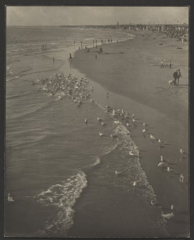 Newport Beach alkotó: Louis Fleckenstein