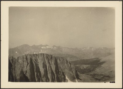 [Sequoia Park] alkotó: Louis Fleckenstein