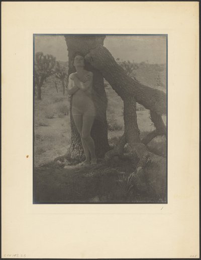 A Joshua szelleme alkotó: Louis Fleckenstein